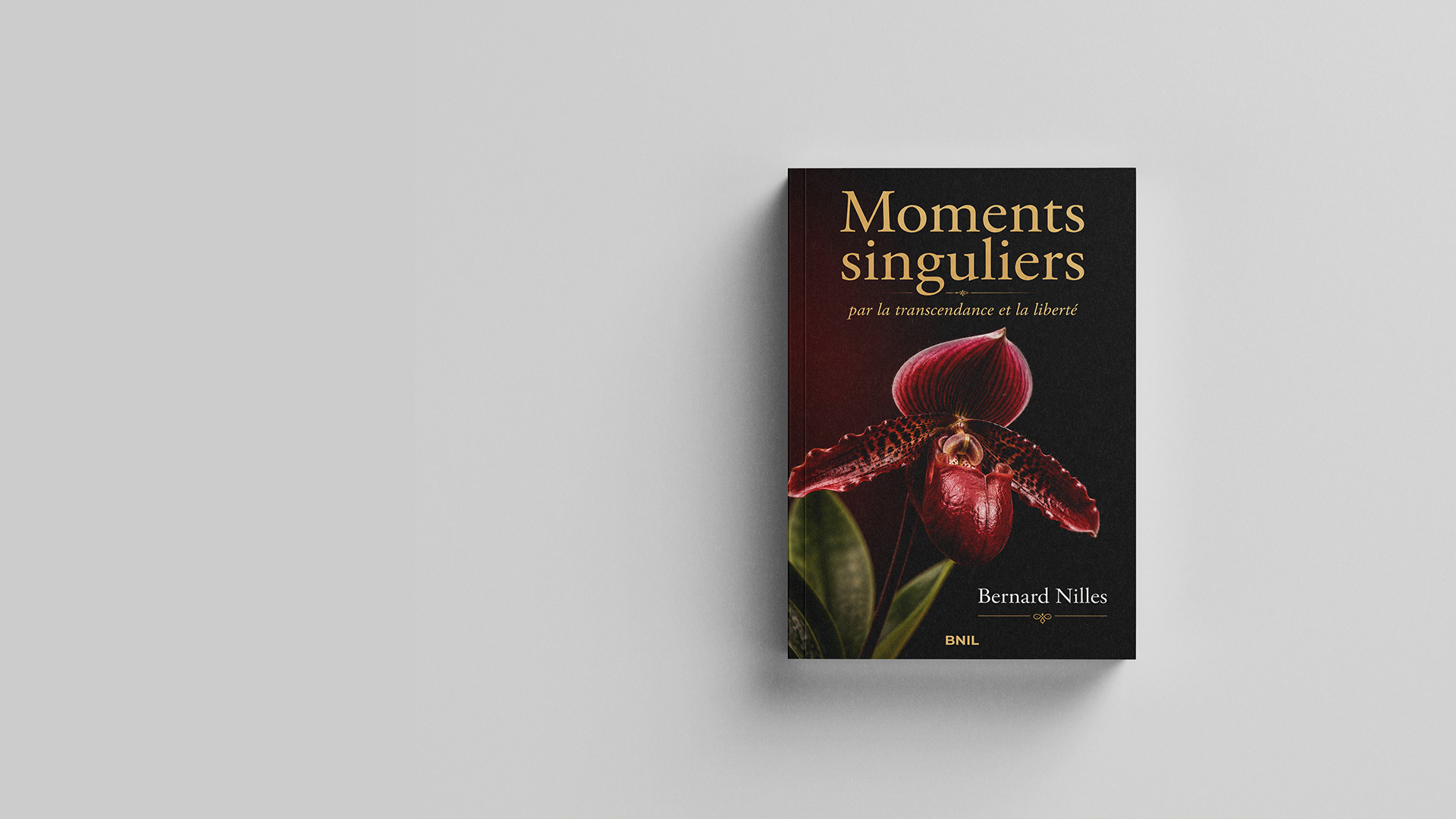 moments singuliers, livre de Bernard Nilles